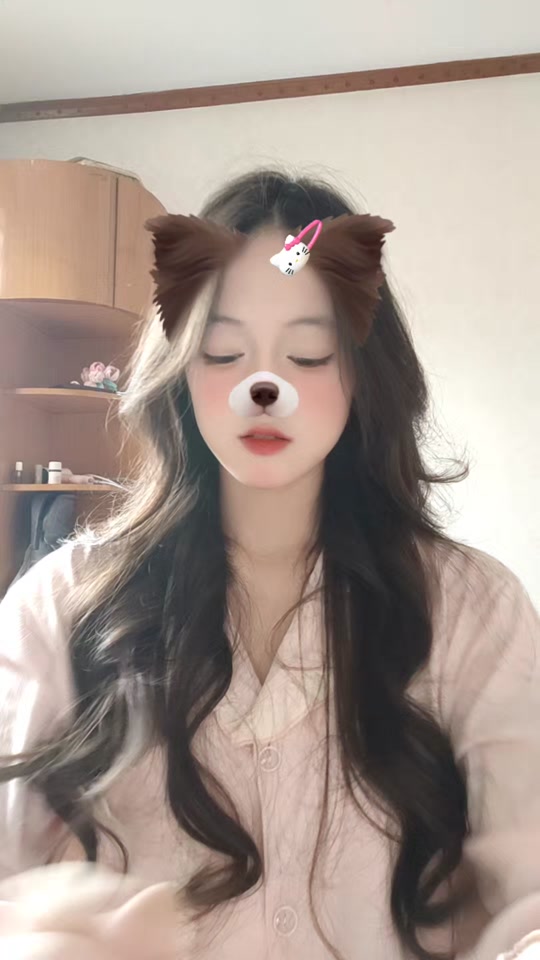 B站粉丝